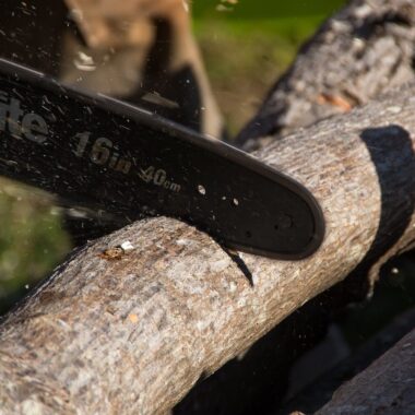 Top 5 Cordless Chainsaws for Safe and Efficient Tree Cutting